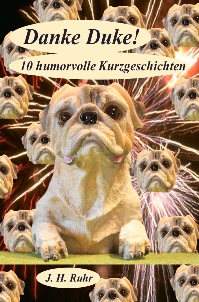 'Cover von Danke Duke!'-Cover