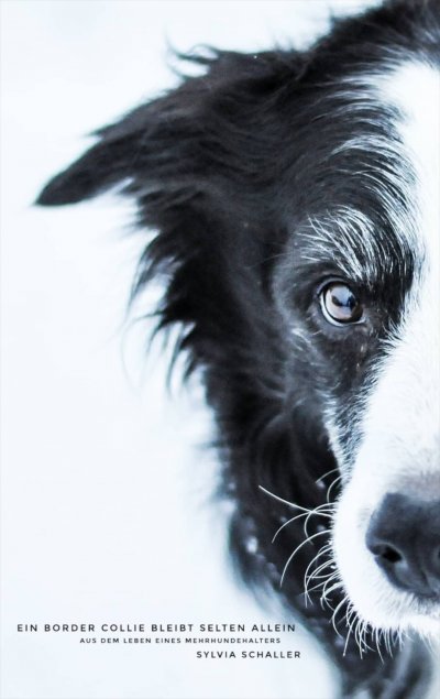 'Ein Border Collie bleibt selten allein'-Cover