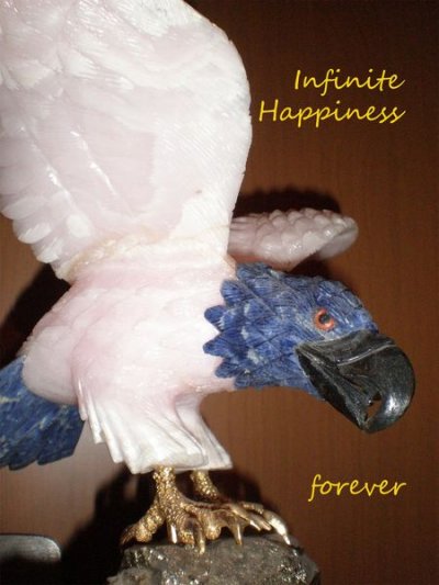'Infinite happiness forever'-Cover