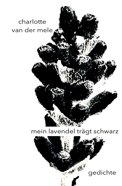 'Cover von mein lavendel trägt schwarz'-Cover