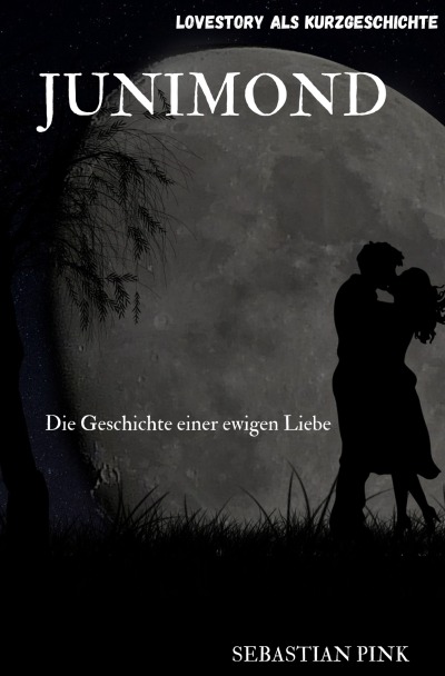 'Cover von Junimond'-Cover