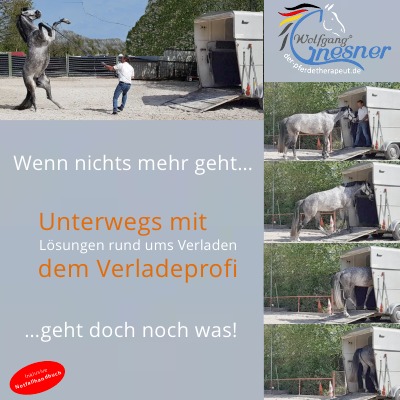 'Cover von Lösungen rund ums Verladen- Unterwegs mit dem Verladeprofi'-Cover