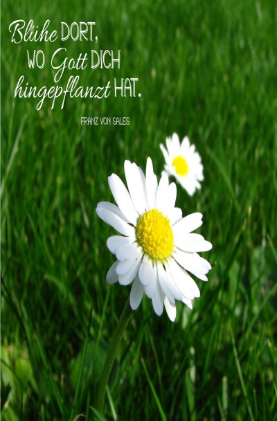'Cover von Blühe da, wo Gott dich hingepflanzt hat.'-Cover