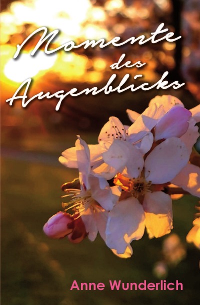 'Momente des Augenblicks'-Cover