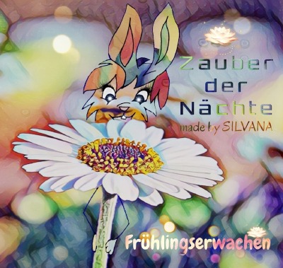 'Cover von Zauber der Nächte'-Cover