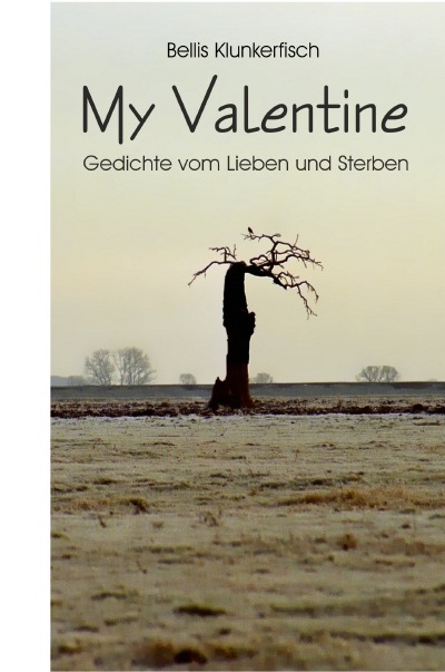 'My Valentine'-Cover
