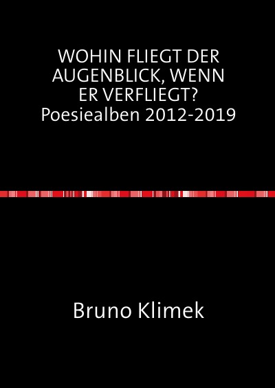 'WOHIN FLIEGT DER AUGENBLICK, WENN ER VERFLIEGT? Poesiealben 2012-2019'-Cover