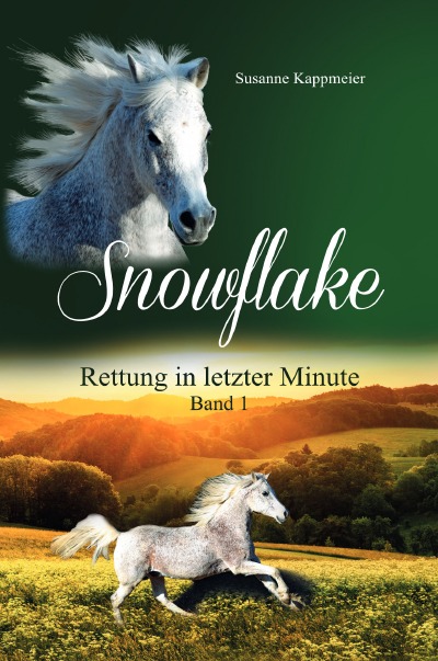 'Cover von Snowflake: Rettung in letzter Minute'-Cover