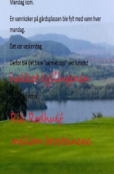 'Cover von hakket kyllingene mellom brosteinene'-Cover
