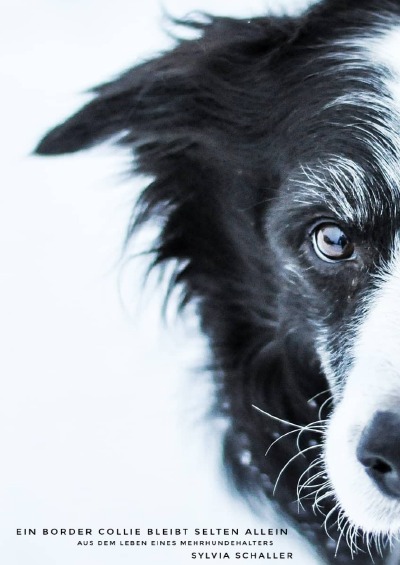 'Ein Border Collie kommt selten allein'-Cover