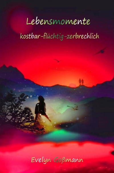 'Cover von Lebensmomente'-Cover