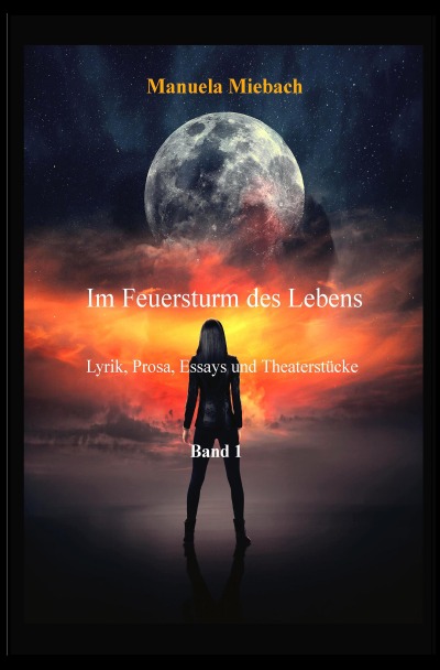 'Cover von Im Feuersturm des Lebens'-Cover