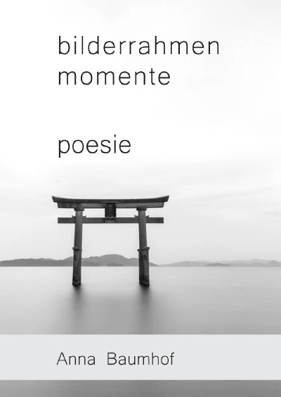 'Cover von bilderrahmenmomente'-Cover