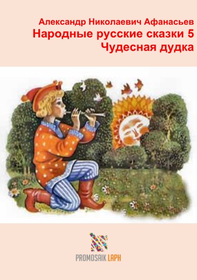 'Народные русские сказки 5 Чудесная дудка'-Cover