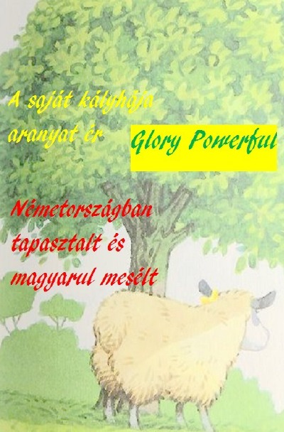 'A saját kályhája aranyat ér Németországban tapasztalt és magyarul mesélt'-Cover