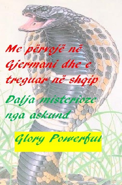 'Me përvojë në Gjermani dhe e treguar në shqip Dalja misterioze nga askund'-Cover