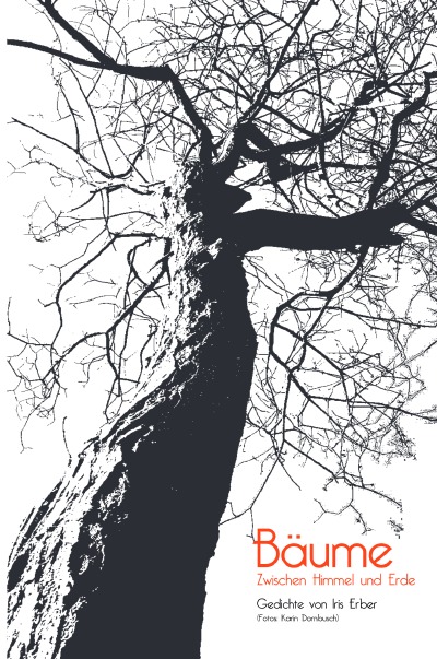'Bäume  Zwischen Himmel und Erde'-Cover