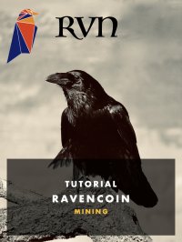 RVN Ravencoin Mining - Passives Einkommen durch Kryptowährung - Marcus Bohlander