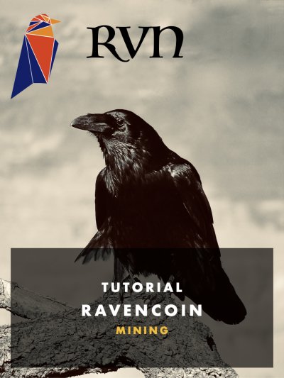 'RVN Ravencoin Mining'-Cover