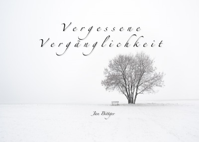 'Vergessene Vergänglichkeit'-Cover