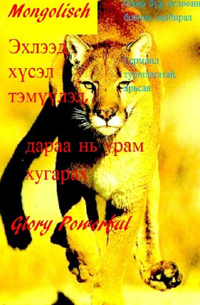 'Cover von Эхлээд хүсэл тэмүүлэл, дараа нь урам хугарах'-Cover