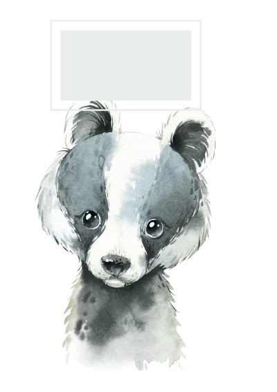 'Cover von Kinder Malbuch DIN A4 Motiv: Waschbär'-Cover