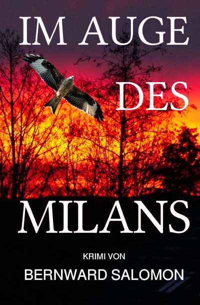 'Im Auge des Milans'-Cover