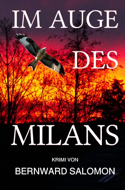 'Cover von Im Auge des Milans'-Cover