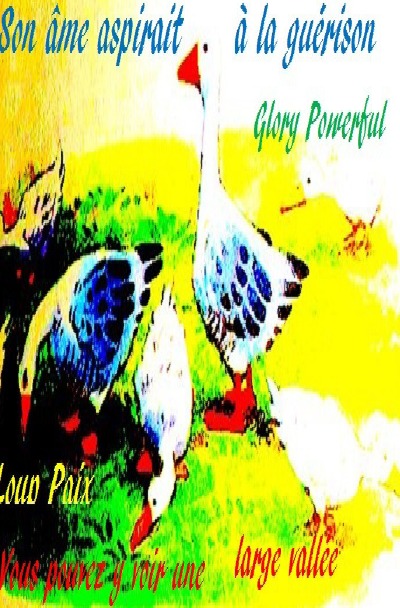 'Cover von Son âme aspirait à la guérison Vous pouvez y voir une large vallée'-Cover