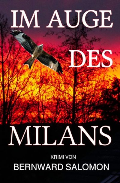 'Cover von Im Auge des Milans'-Cover