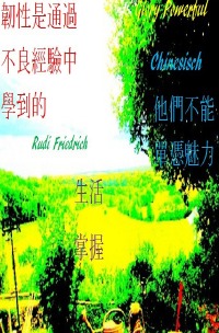 Chinesisch  Resilienz lernt man durch widrige Erfahrungen - 他們不能單憑魅力生活 掌握 - Rudi Friedrich, Powerful Glory