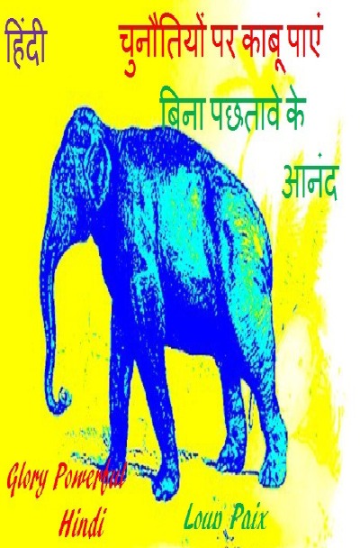 'Cover von Hindi Herausforderungen bewältigen'-Cover