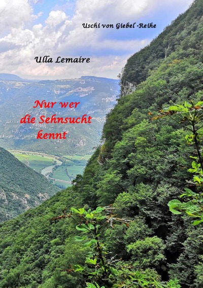 'Cover von Nur wer die Sehnsucht kennt'-Cover