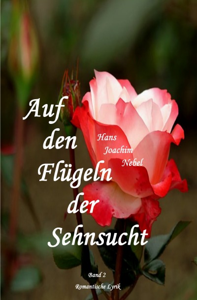'Cover von Auf den Flügeln der Sehnsucht'-Cover