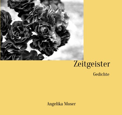 'Cover von Zeitgeister'-Cover