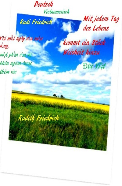 'Cover von Mit jedem Tag des Lebens kommt ein Stück Weisheit hinzu'-Cover