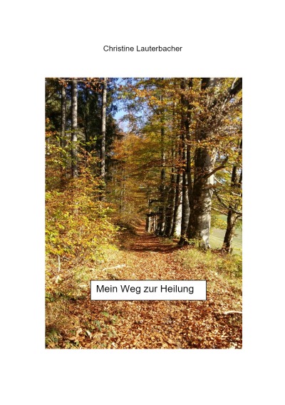'Mein Weg zur Heilung'-Cover
