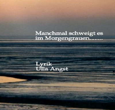 'Cover von Manchmal schweigt es im Morgengrauennn'-Cover