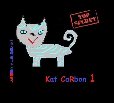 'Cover von Kat CaRbon'-Cover