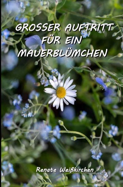 'GROSSER AUFTRITT FÜR EIN MAUERBLÜMCHEN'-Cover
