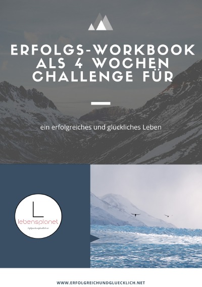 'Erfolgs-Workbook'-Cover