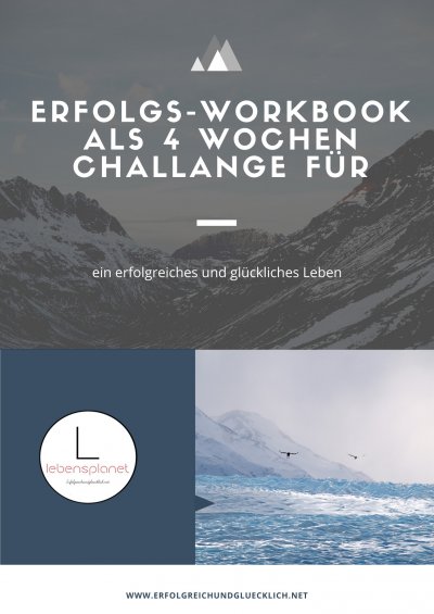 'Erfolgs-Workbook'-Cover