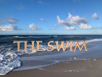 'Cover von The Swim'-Cover