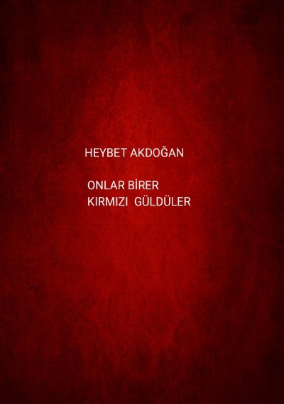'ONLAR BİRER KIRMIZI GÜLDÜLER'-Cover
