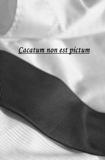 'Cacatum non est pictum'-Cover