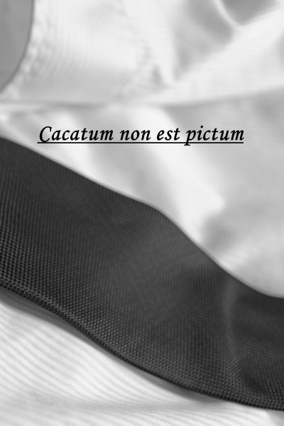 'Cover von Cacatum non est pictum'-Cover