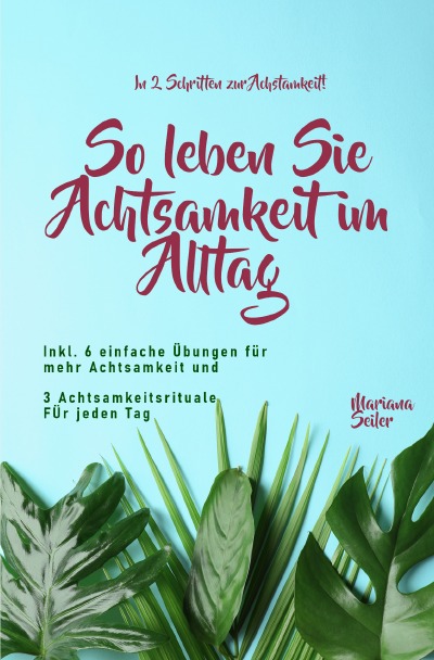 'Cover von Achtsamkeit: IN 2 SCHRITTEN ZUR ACHTSAMKEIT! So leben Sie Achtsamkeit im Alltag'-Cover