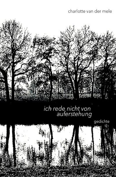 'ich rede nicht von auferstehung'-Cover