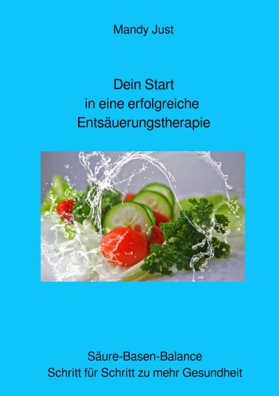 'Cover von Dein Start in eine erfolgreiche Entsäuerungstherapie'-Cover