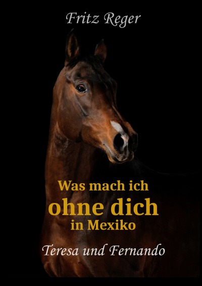 'Was mach ich ohne Dich in Mexiko'-Cover